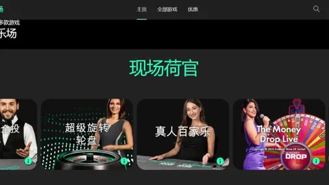 携手探索：达曼与布赖代在数据解读上的巅峰对决，共赏智慧火花！